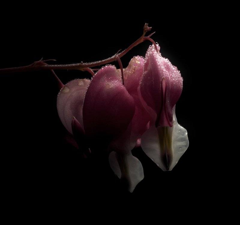 Состояние фото превью