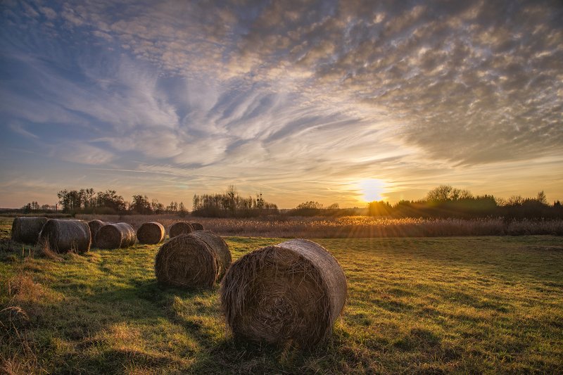 закат на лугу sunset in the meadow sun sunlight nikon sheaves hay сено grass sunset dranikowski green clouds sky закат на лугу фото превью