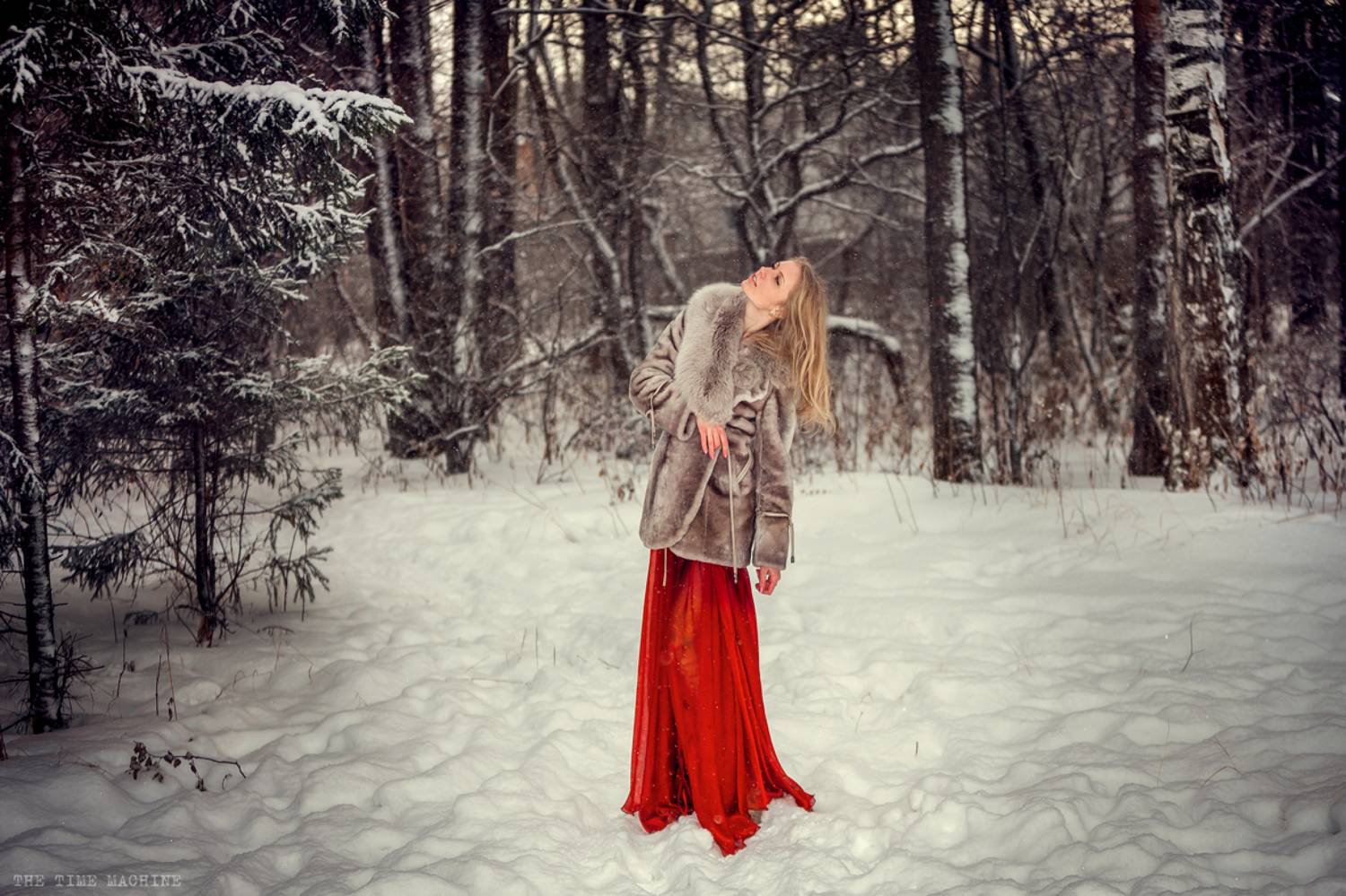 , Михаил Бове