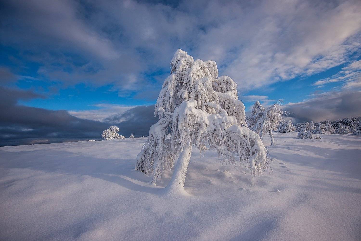 крым, Юрий Коваленко