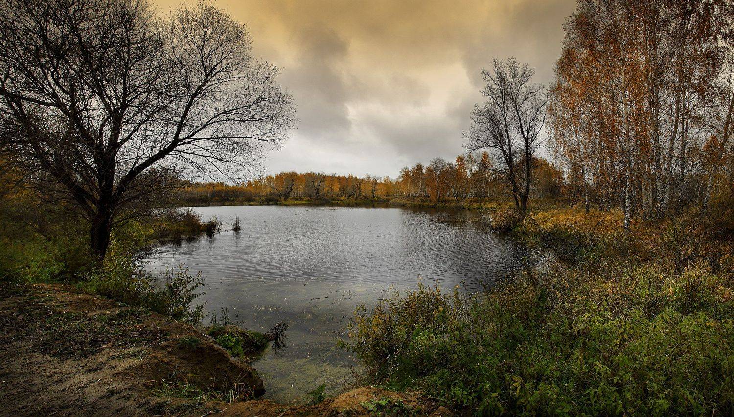 , Бусыгин Борис