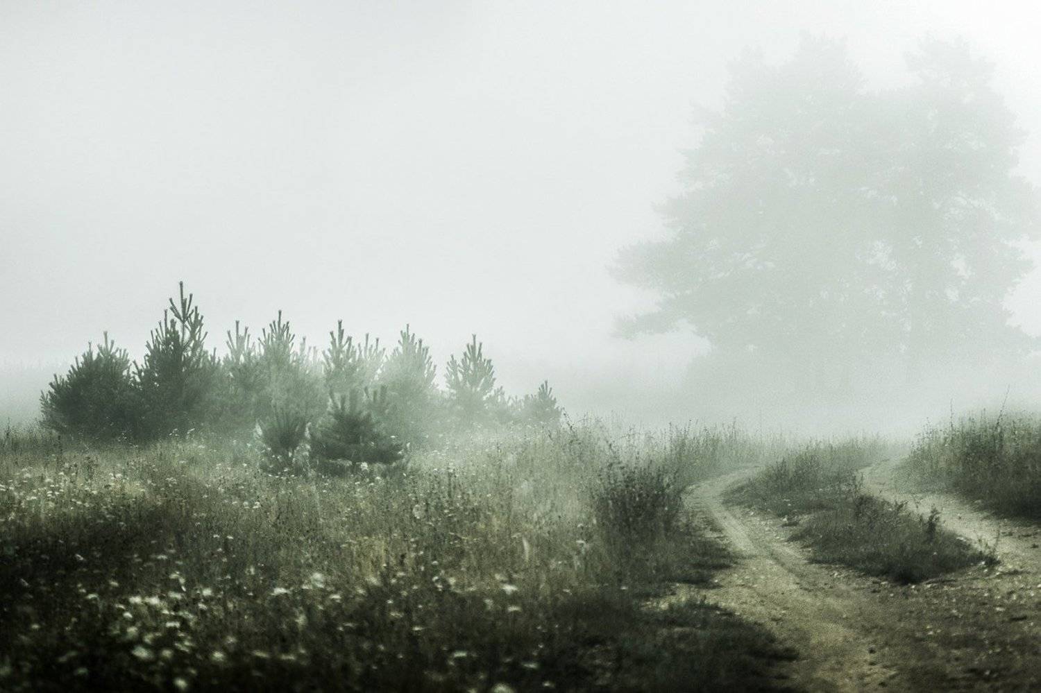 , Альбина Хакимова