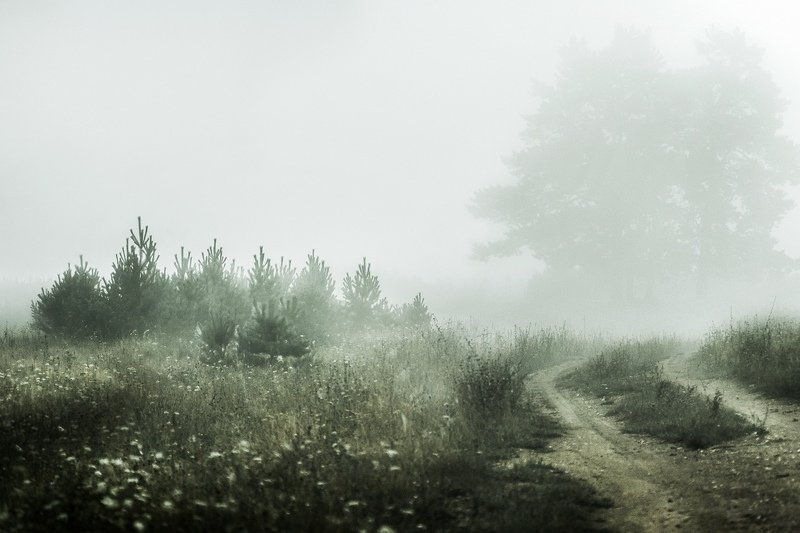 ... фото превью