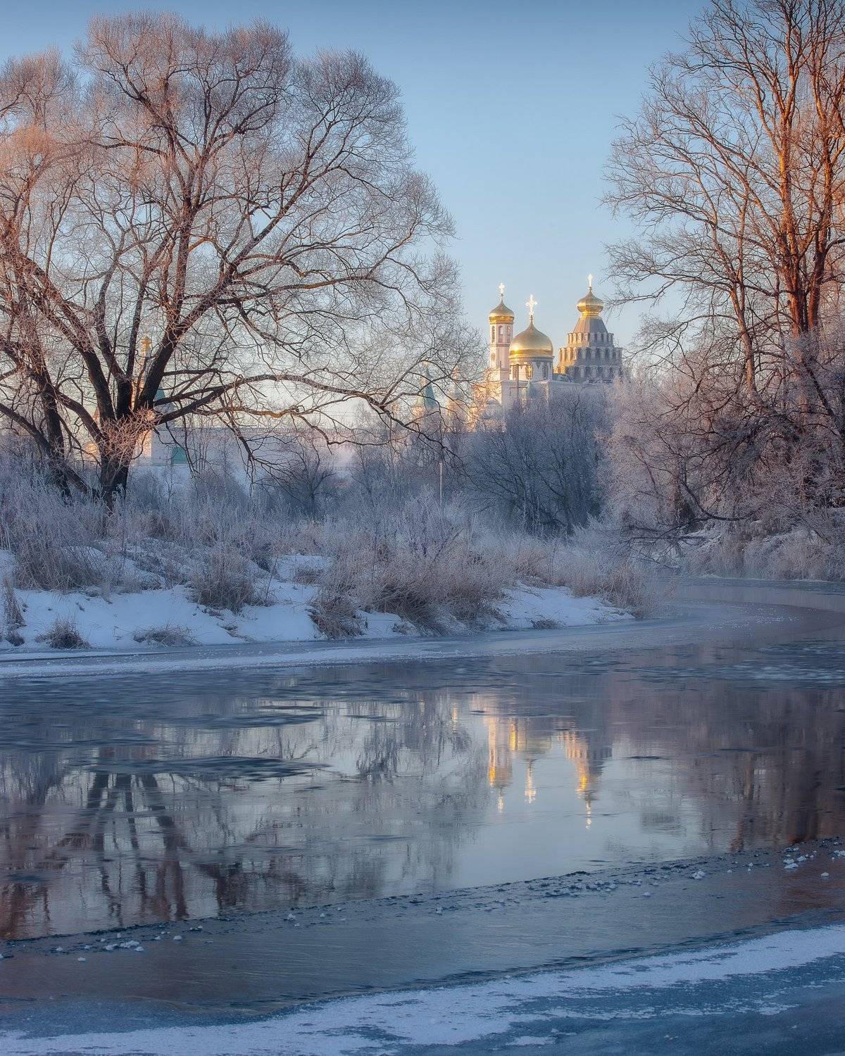 , Антон Шваин