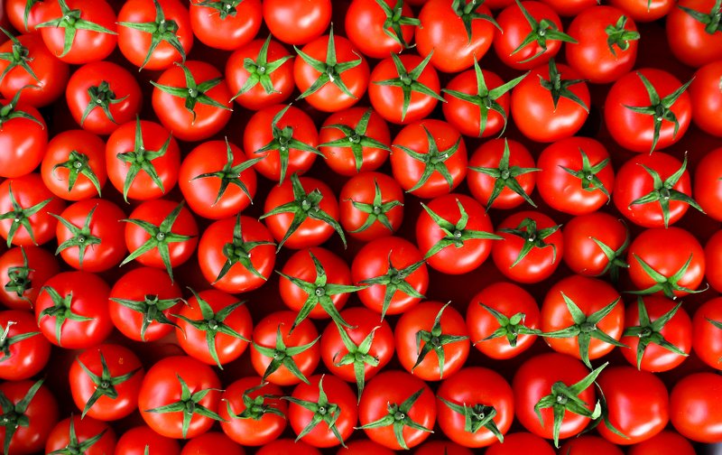 tomato фото превью