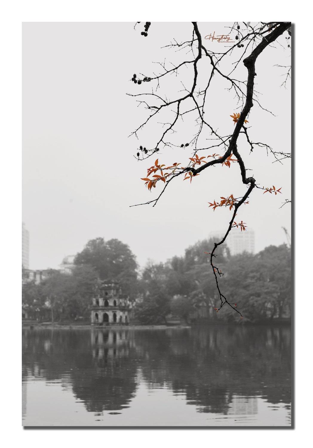 Chồi xuân . Автор: Hoang Tat Thang , Hoang Tat Thang