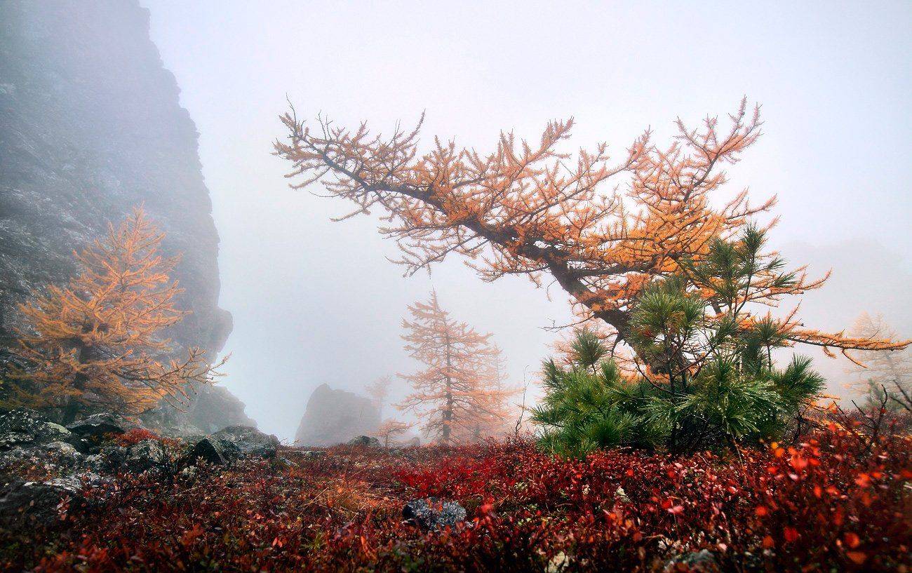 урал, осень, серебрянский камень, Сергей Макурин