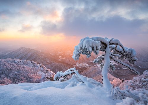 Frozen ghost