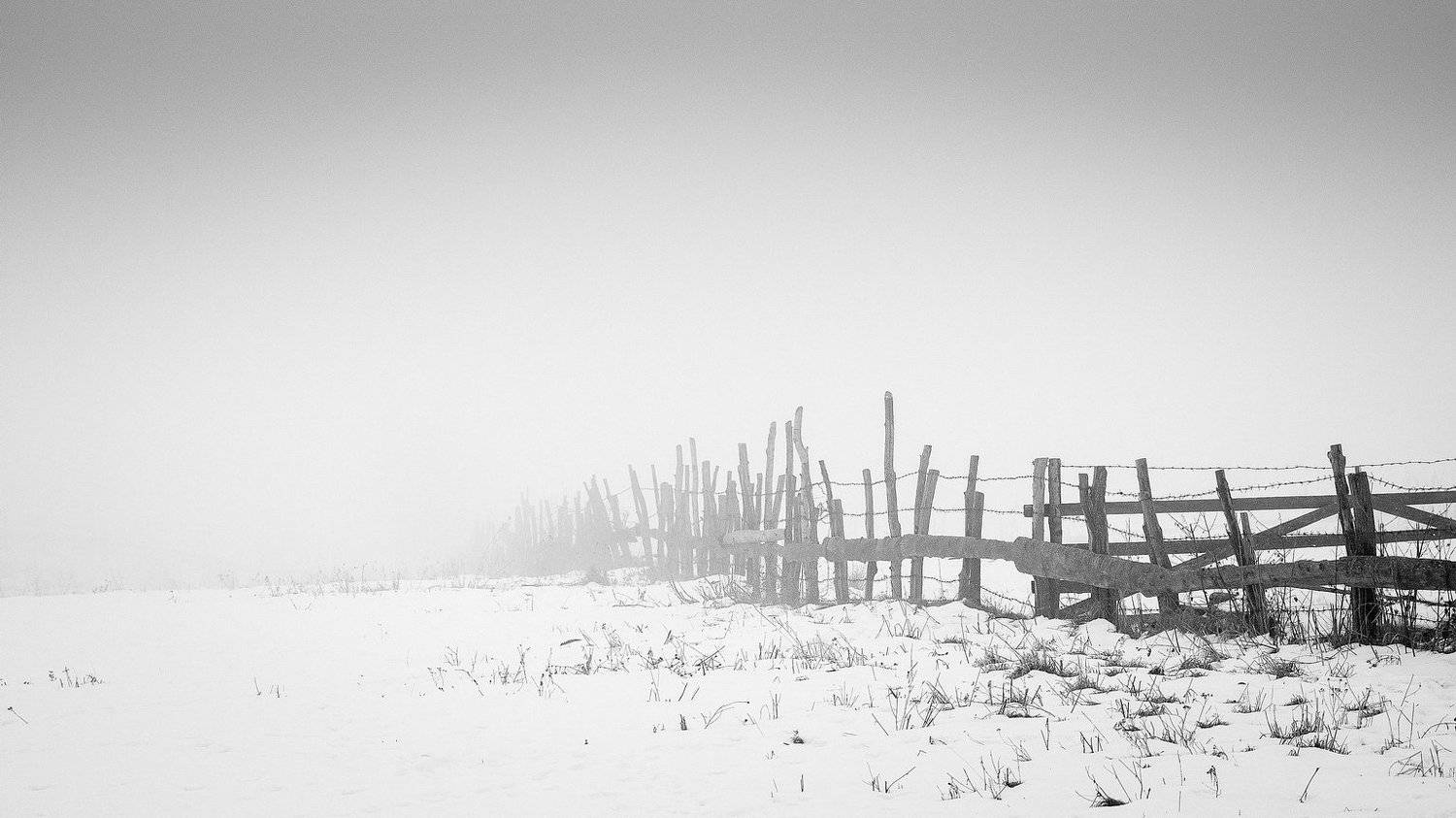 dream,landscape,alexandrucrisan,nature,scenery,countryside,far,away,romania,dreamland,magic,sound,lonely,mountain,myromania,forest,trees,winds,hill,tree,white,poem,haiku,minimalism,minimal,winterscape,fence, Alexandru Crisan