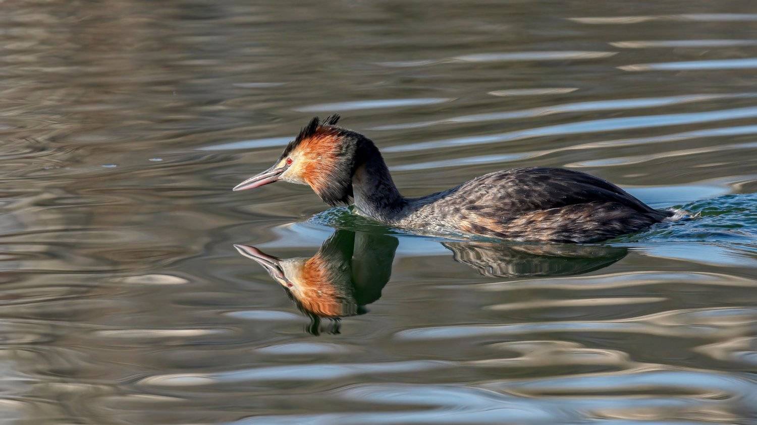 , Alexander Plekhanov