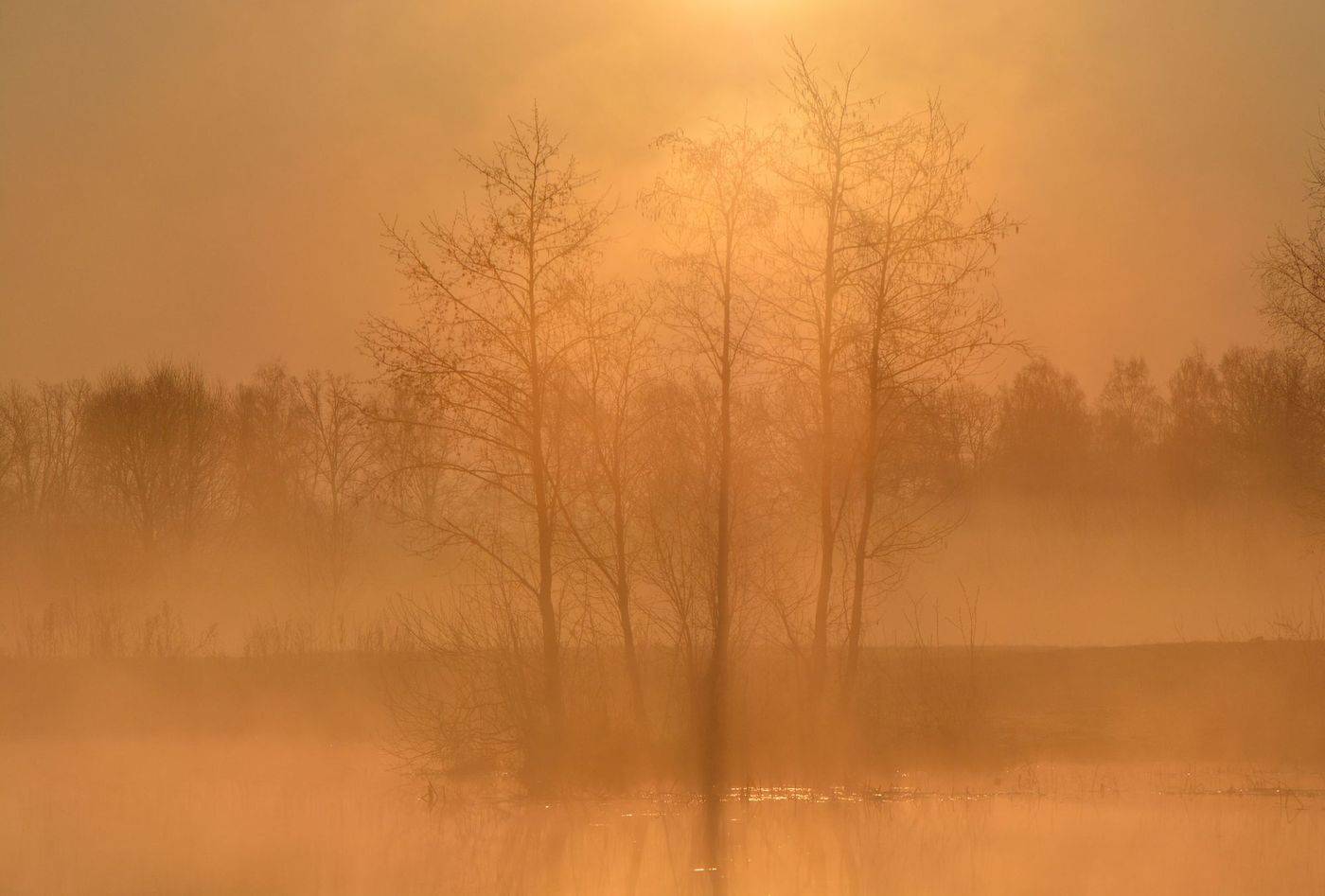 пейзаж, туман, рассвет, акварель, Юлия Абрамова