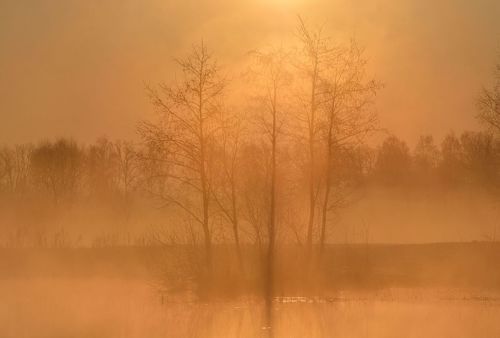 Рассветная акварель