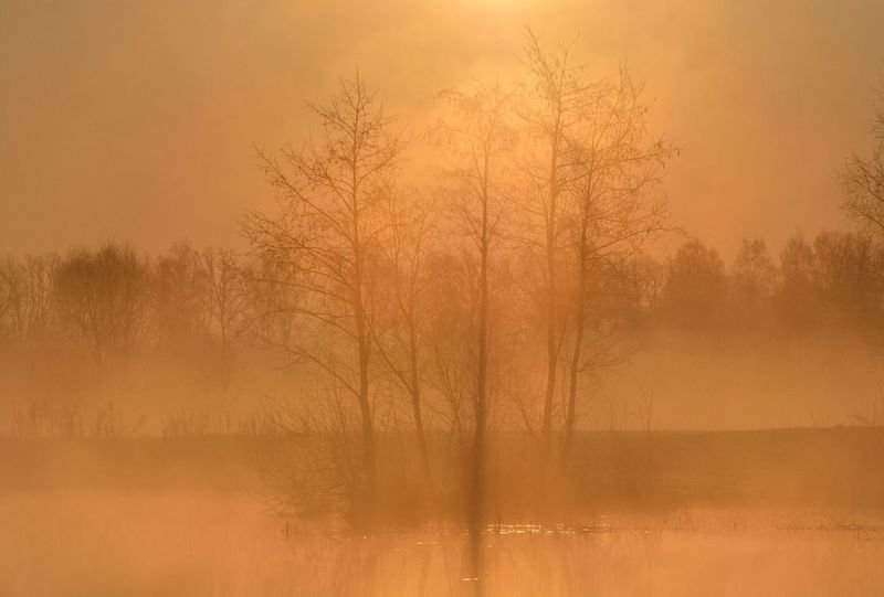 Рассветная акварель фото превью