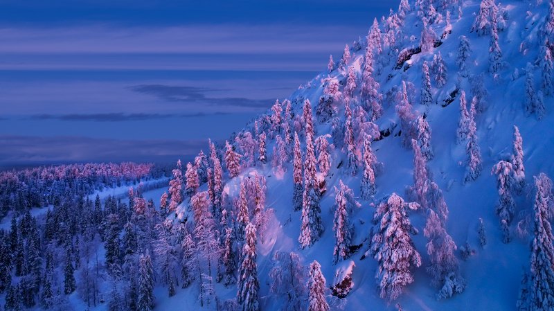 Первые лучи фото превью