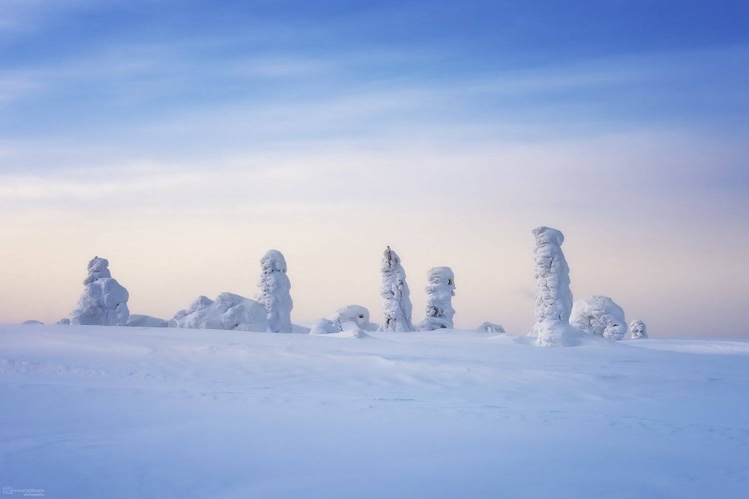 , Антон Кошетаров