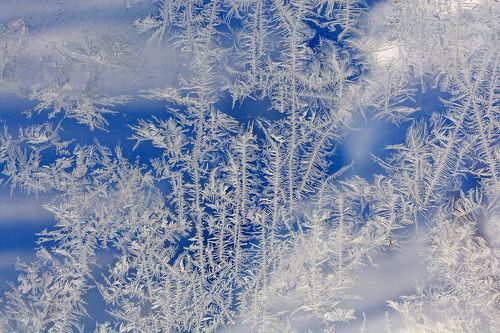 Морозные узоры
