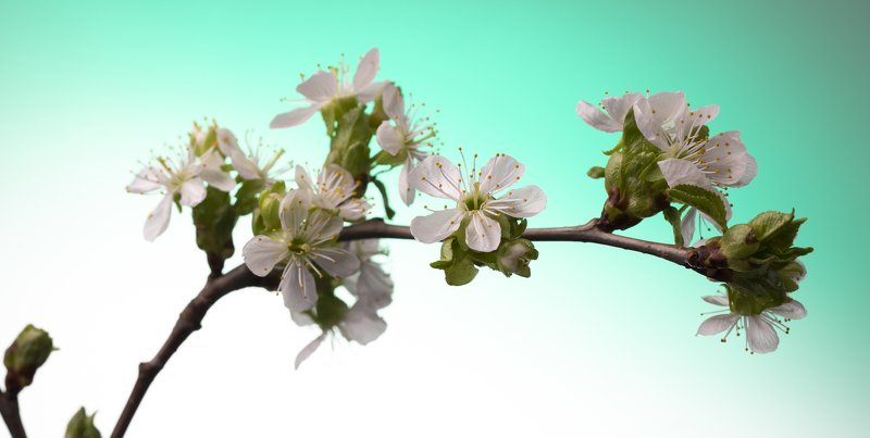 швеция Весна идет фото превью