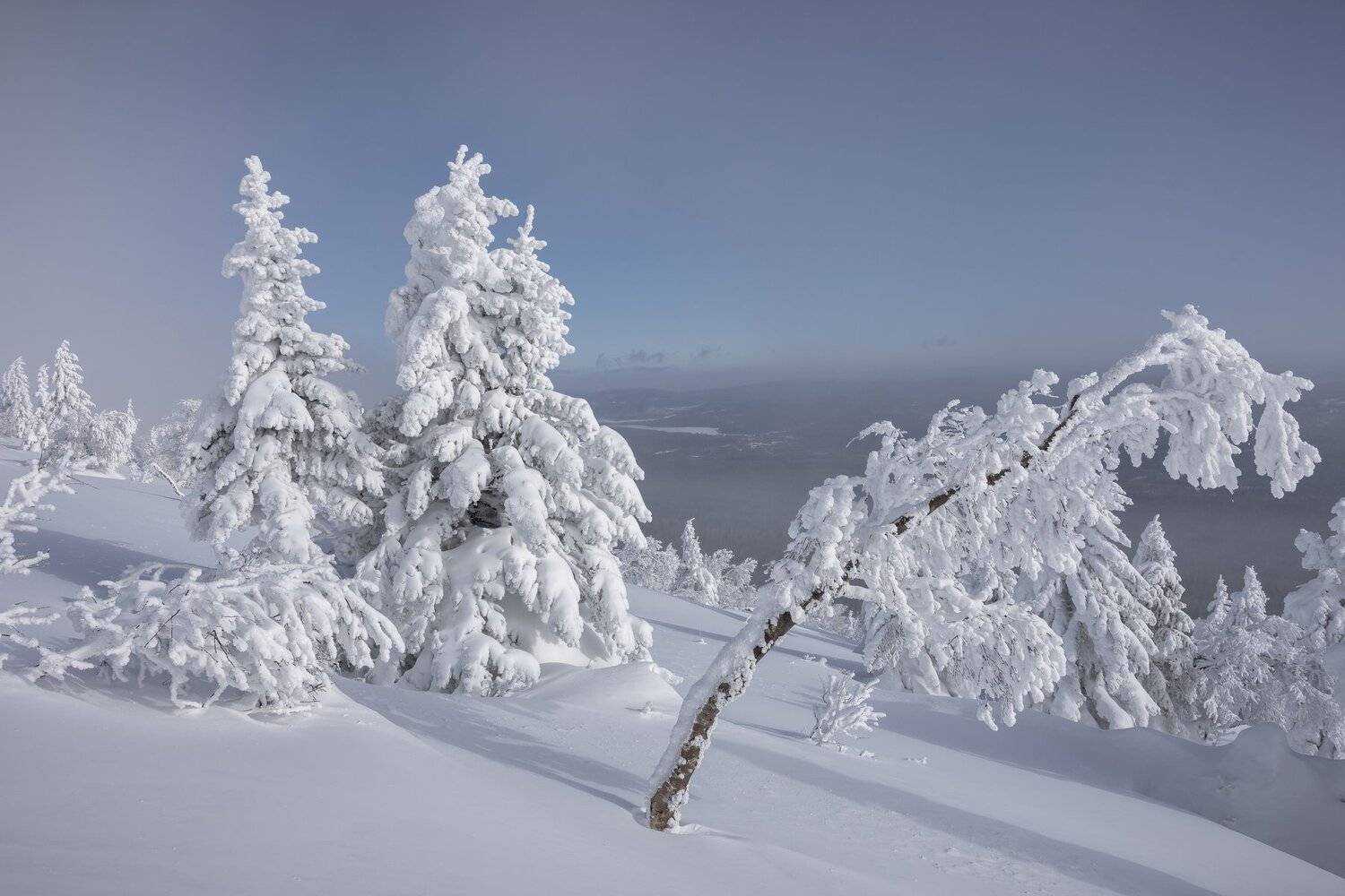 , Андрей Шарапов