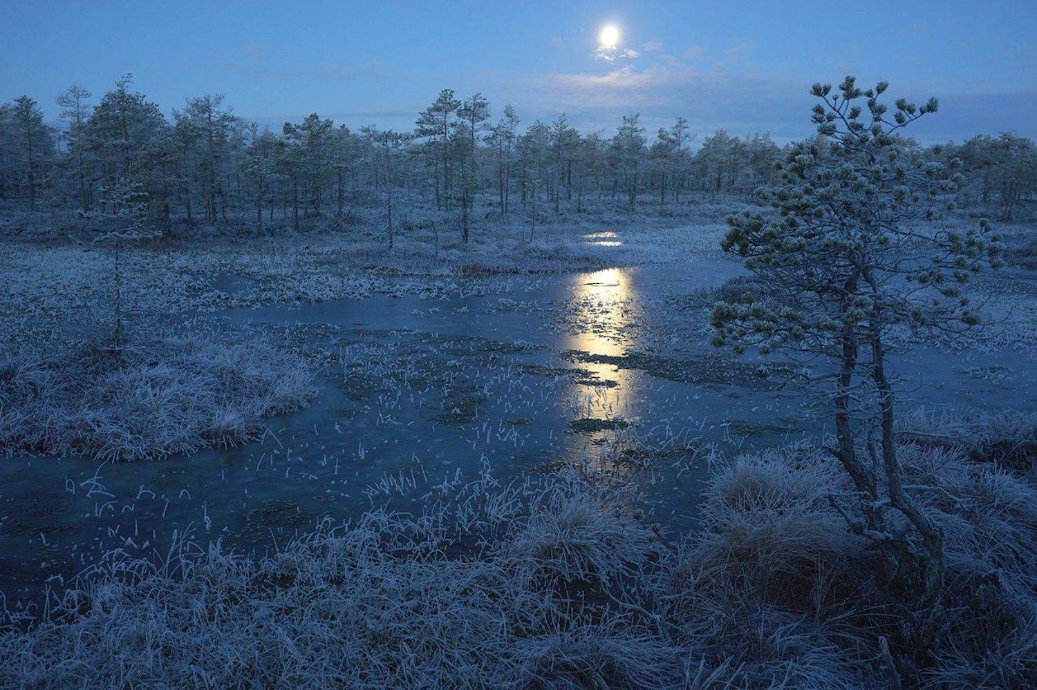 , Петр Косых