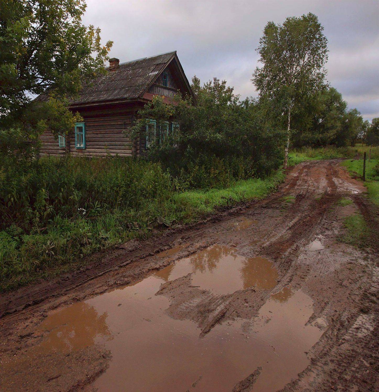 , Петр Косых