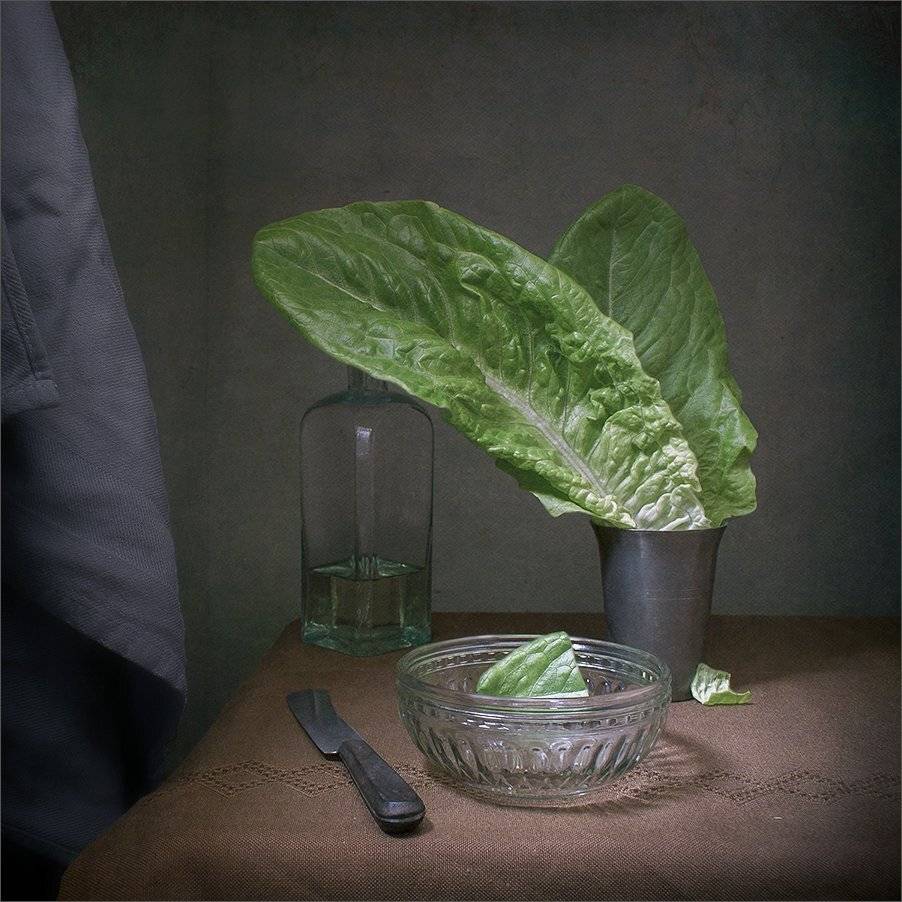 , Stein Georg