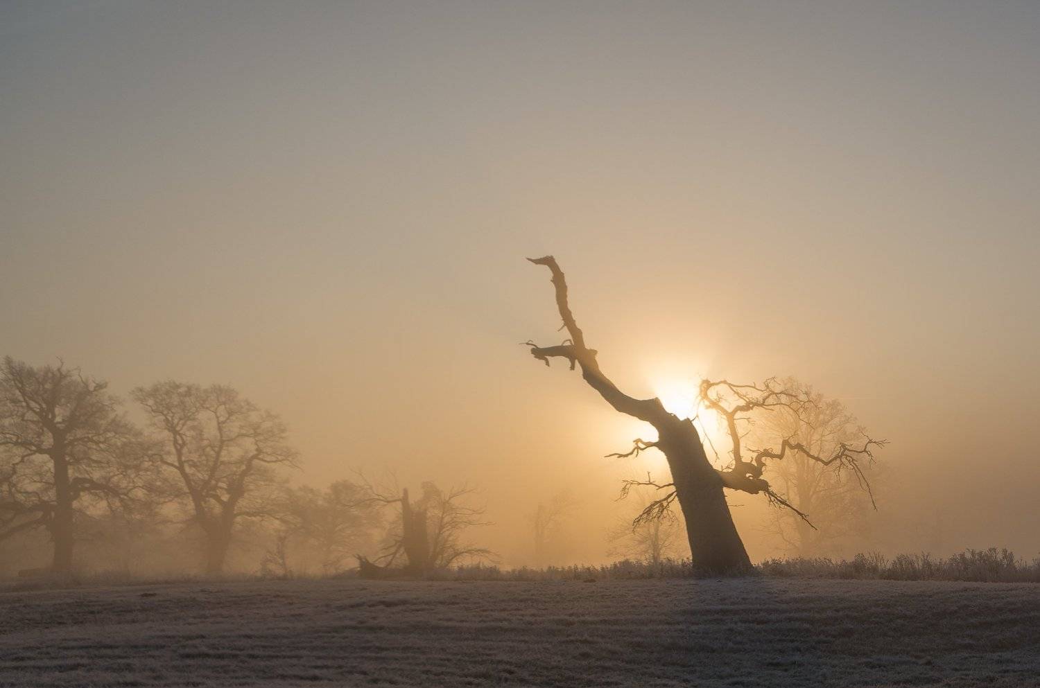 , Maciej Werbliński