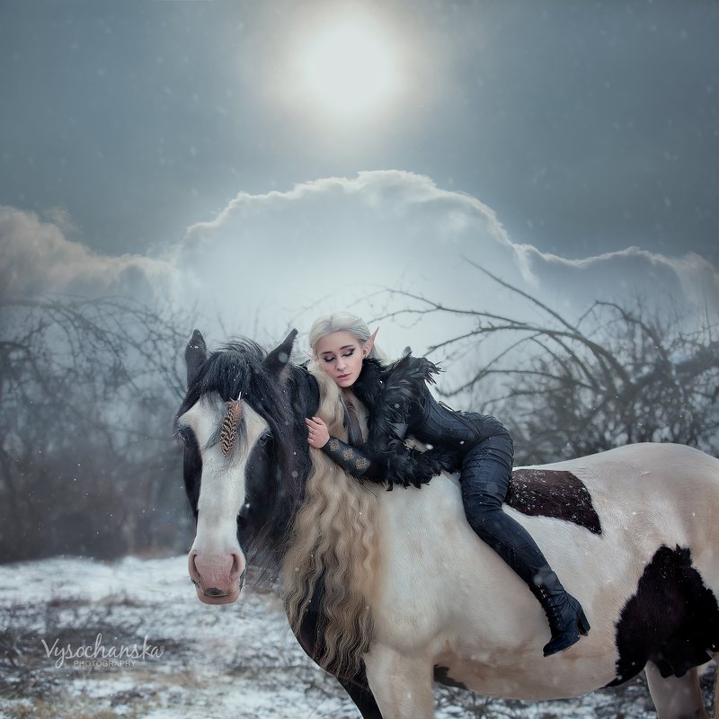 winter in wonderland фото превью