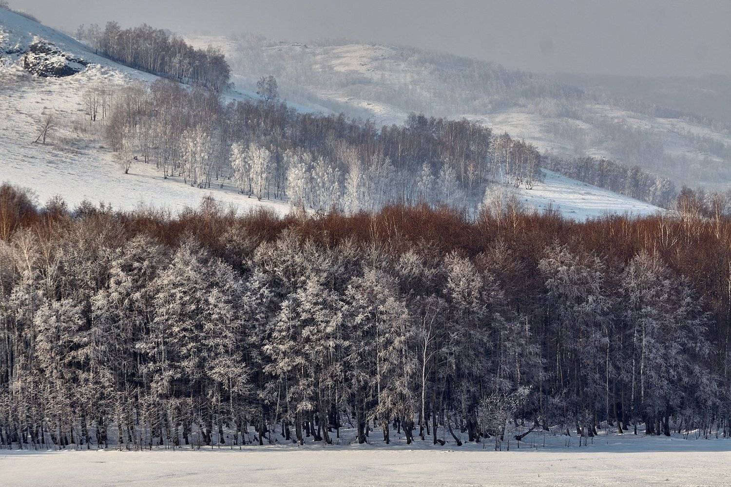 южный урал,оренбургская область, орск, новотроицк,башкирия, башкиртостан, Качурин Алексей