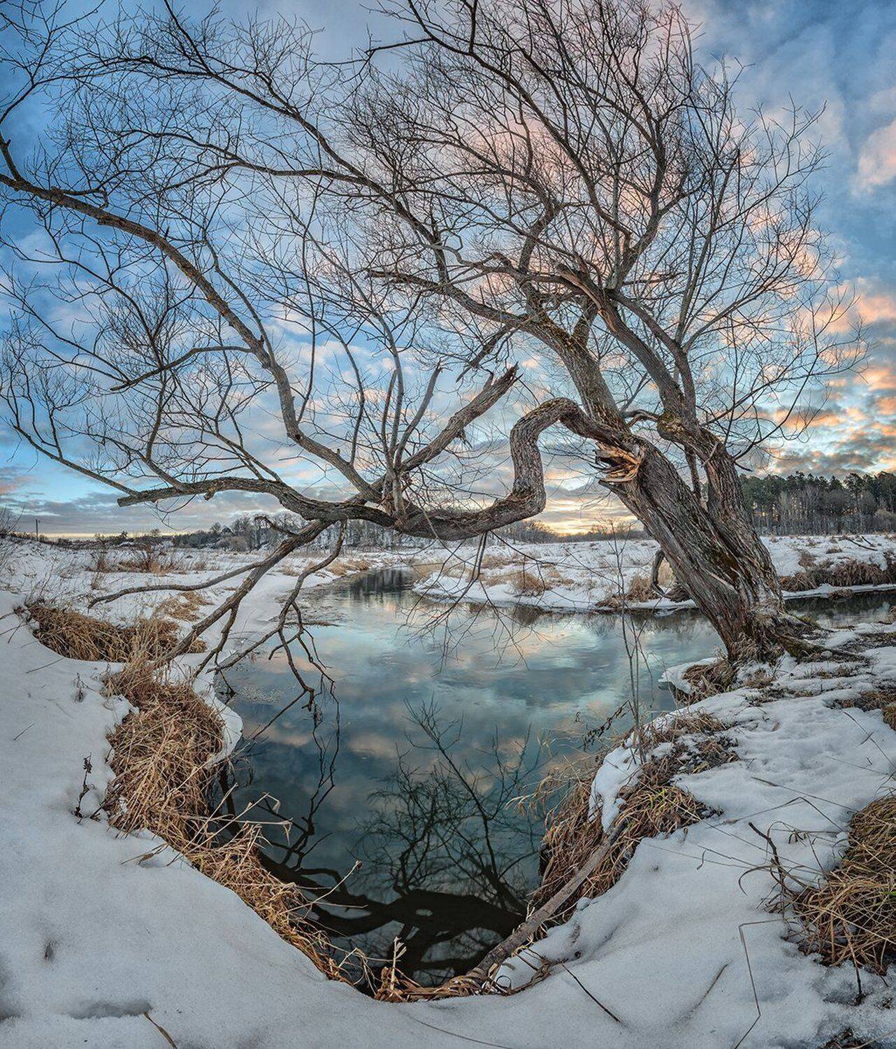 , Николай Андреев