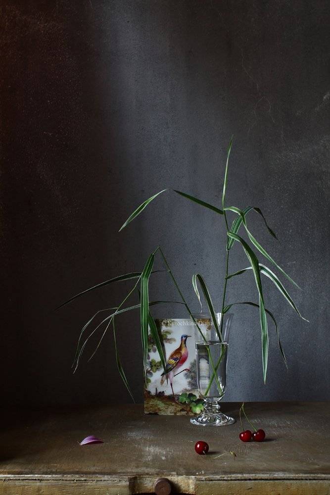 натюрморт, птичка, октрытка, Курочкина Диана