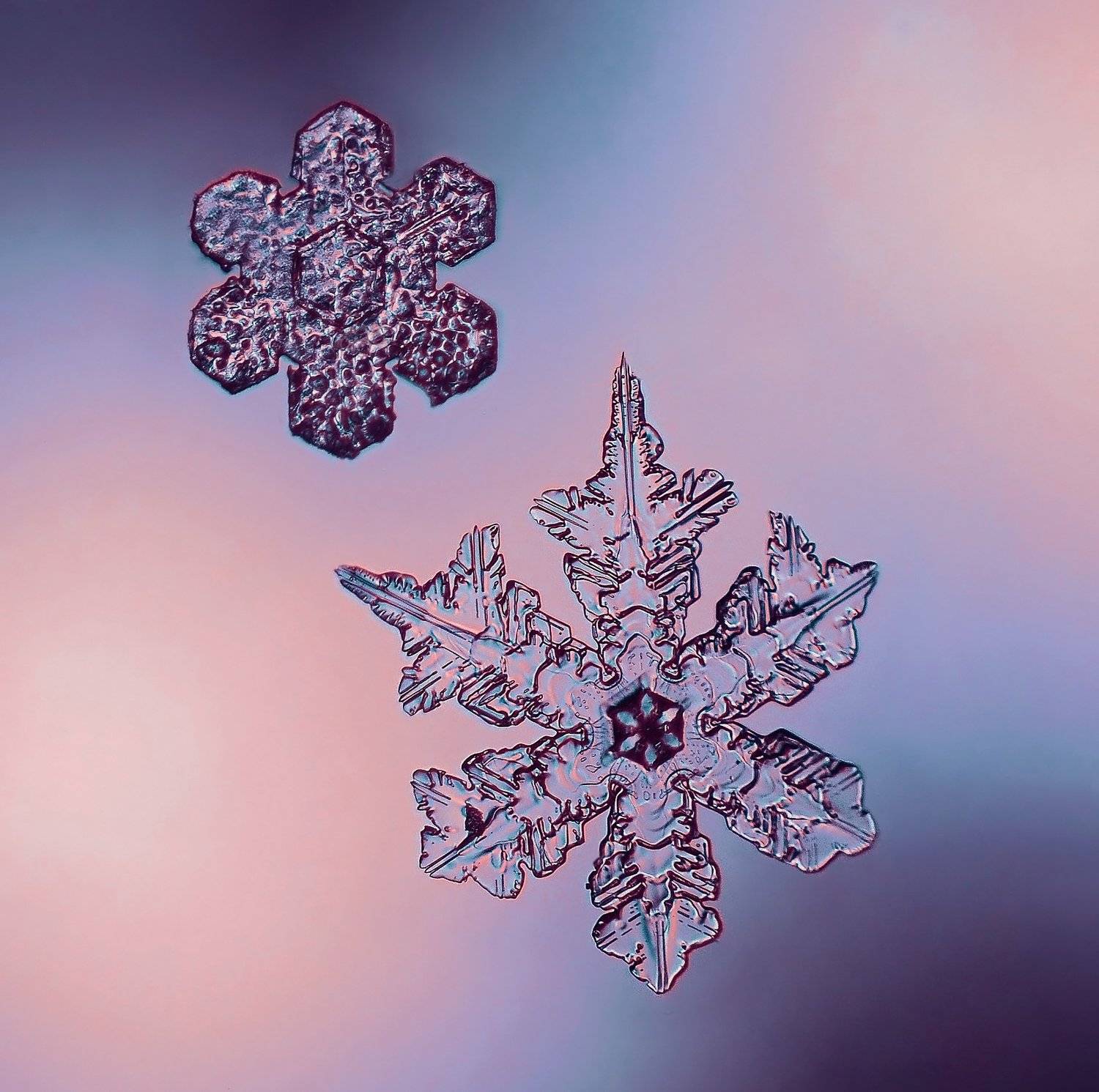 макро, зима, россия, зимнее макро, снег, снежинка, волшебство, макрофотография,, Эля Draw