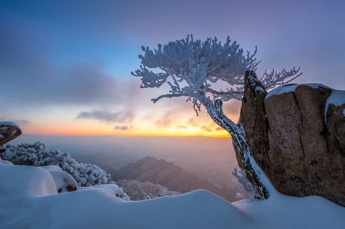 Frozen wand