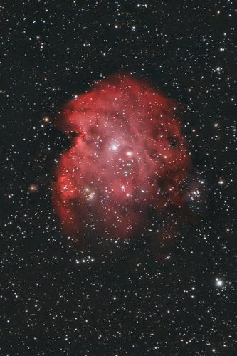 Sh2-252 - Monkey Head Nebula