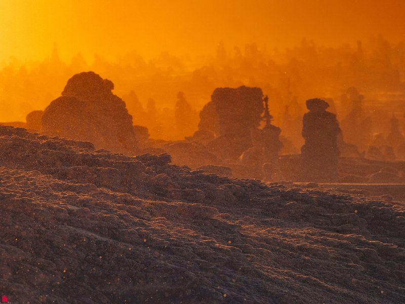 Пока крокодил спит фото превью