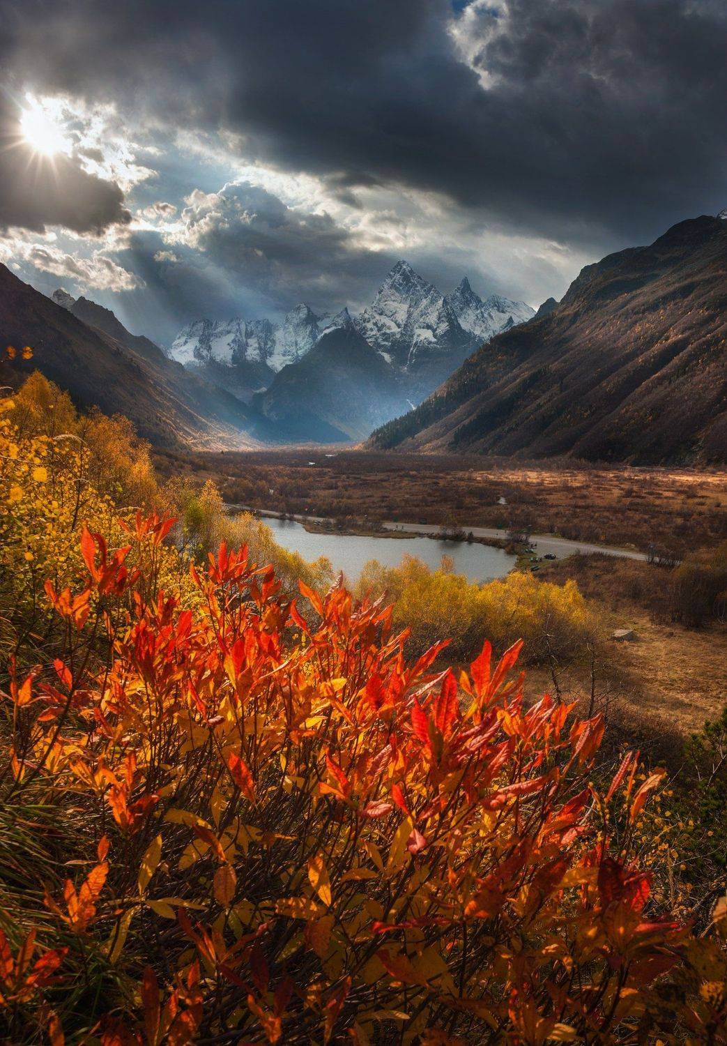 , Алексей Дранговский