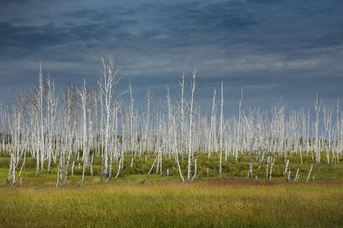 Красиво, но грустно