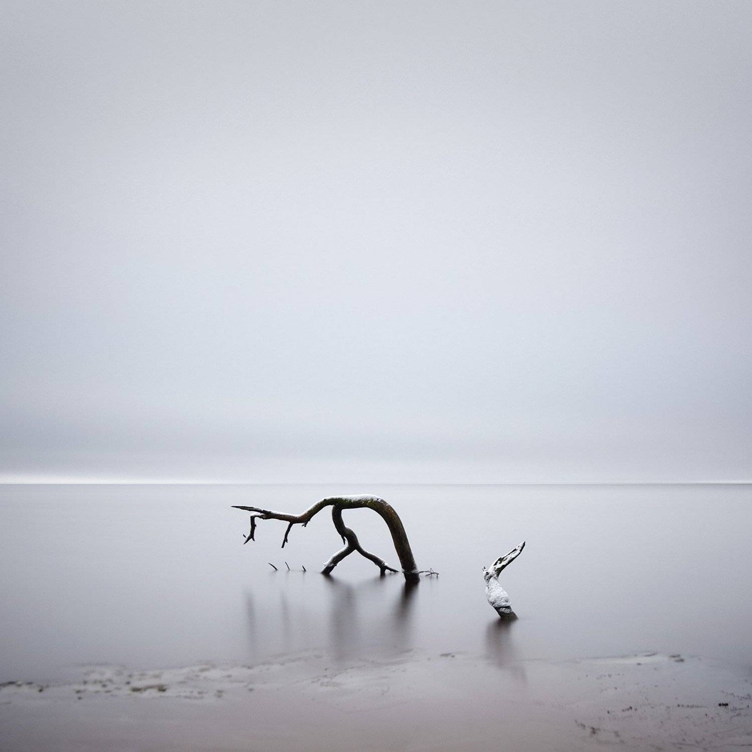 , Федотов Антон