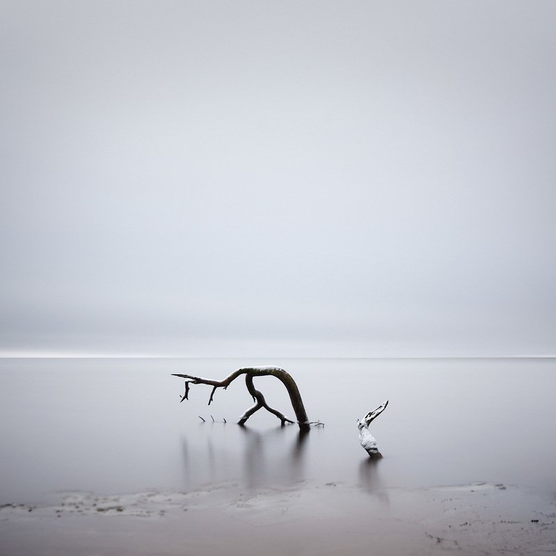 На водопое фото превью