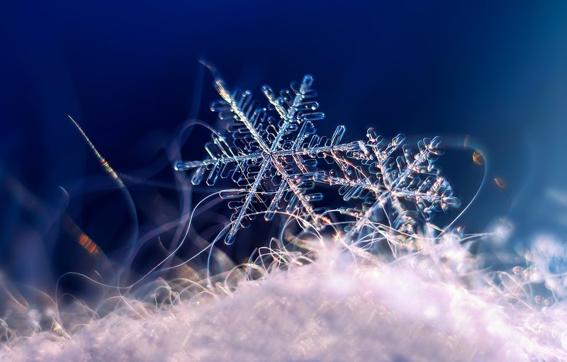 Парочка фото превью