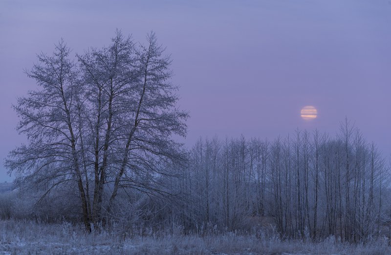 Закат Луны. фото превью