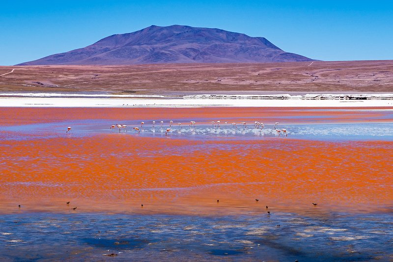Laguna Colorada фото превью