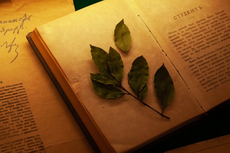 Физические атрибуты Чехова-творца фото превью