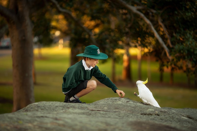 Чай с попугаем фото превью