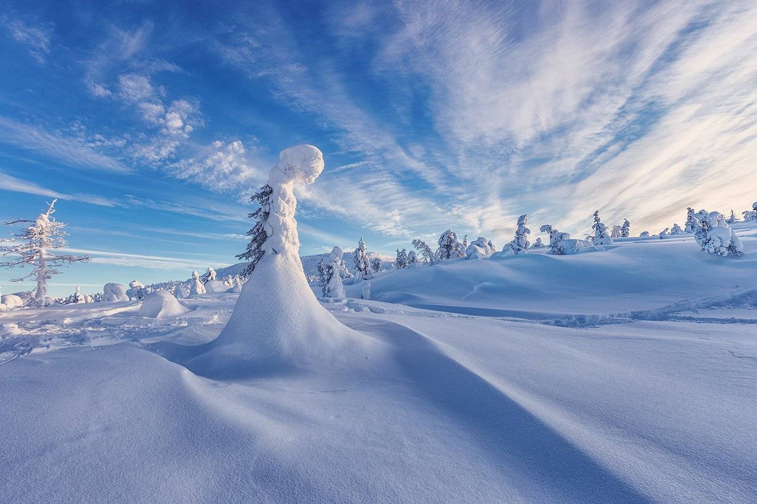 заполярье, гора, снег, ели, волосная, Владимир Липецких