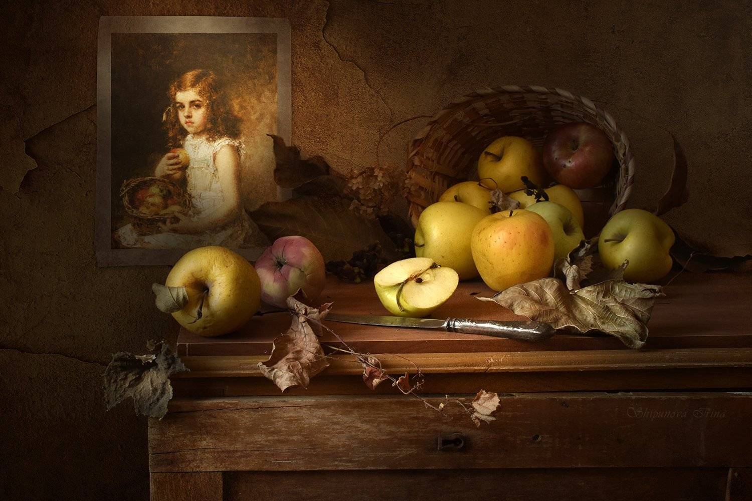 , Шипунова Ирина