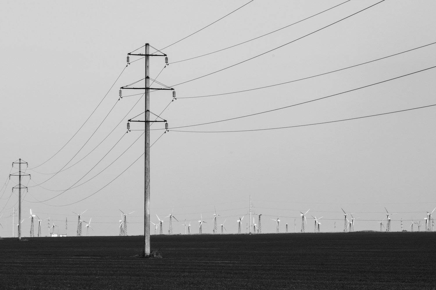 провода, поле, безмятежность, ветряки, чёрнобелое, wires, field, serenity, windmills, black and white, Артём Корнев