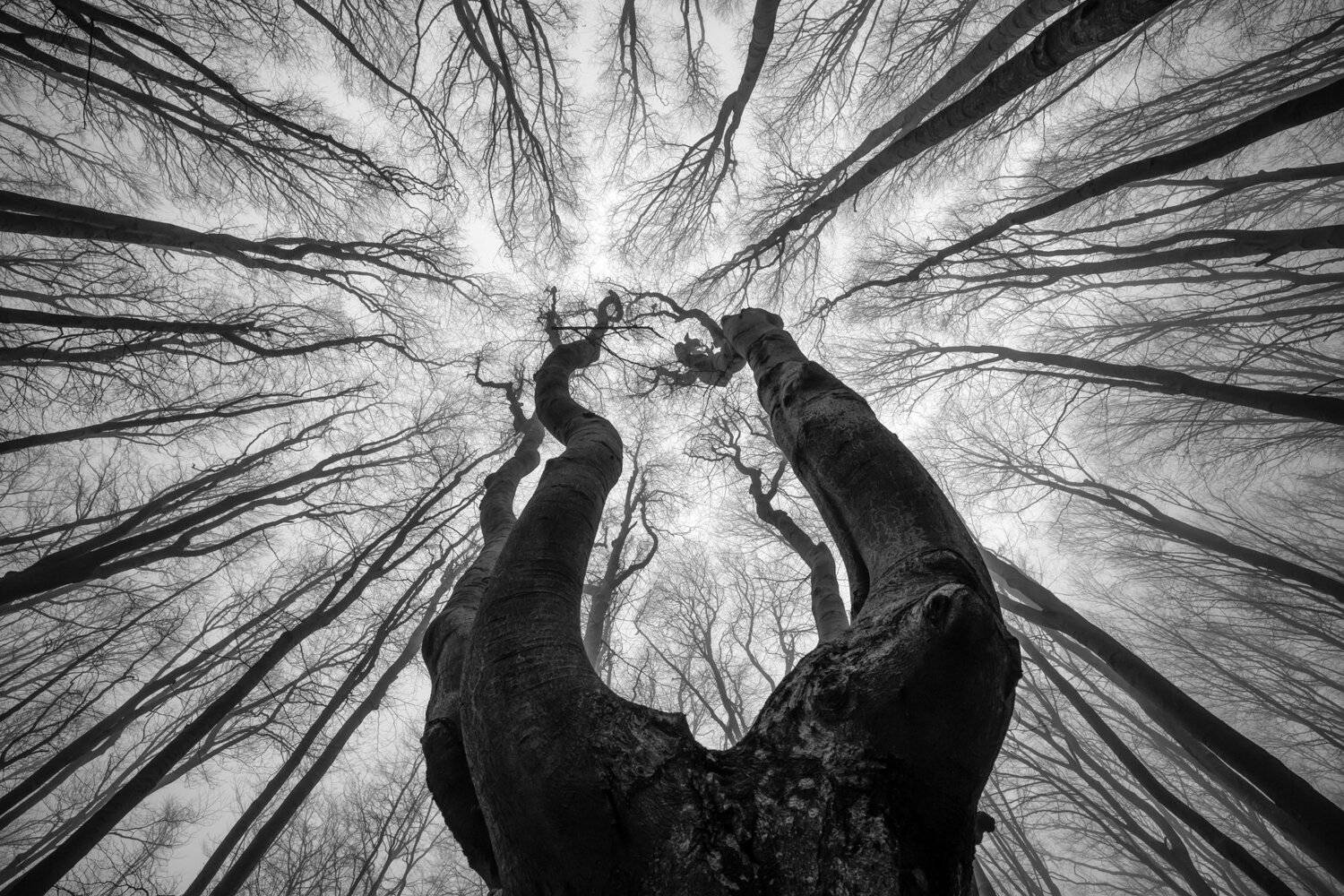 , Костадин Маджаров