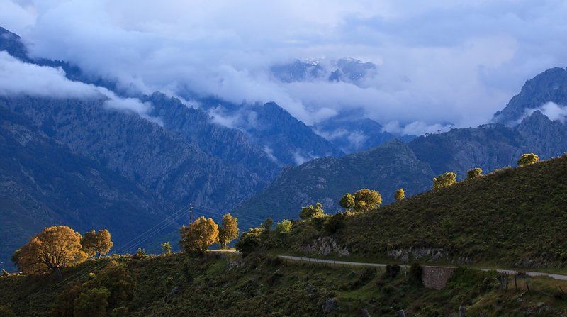 дорога в Тралонку фото превью