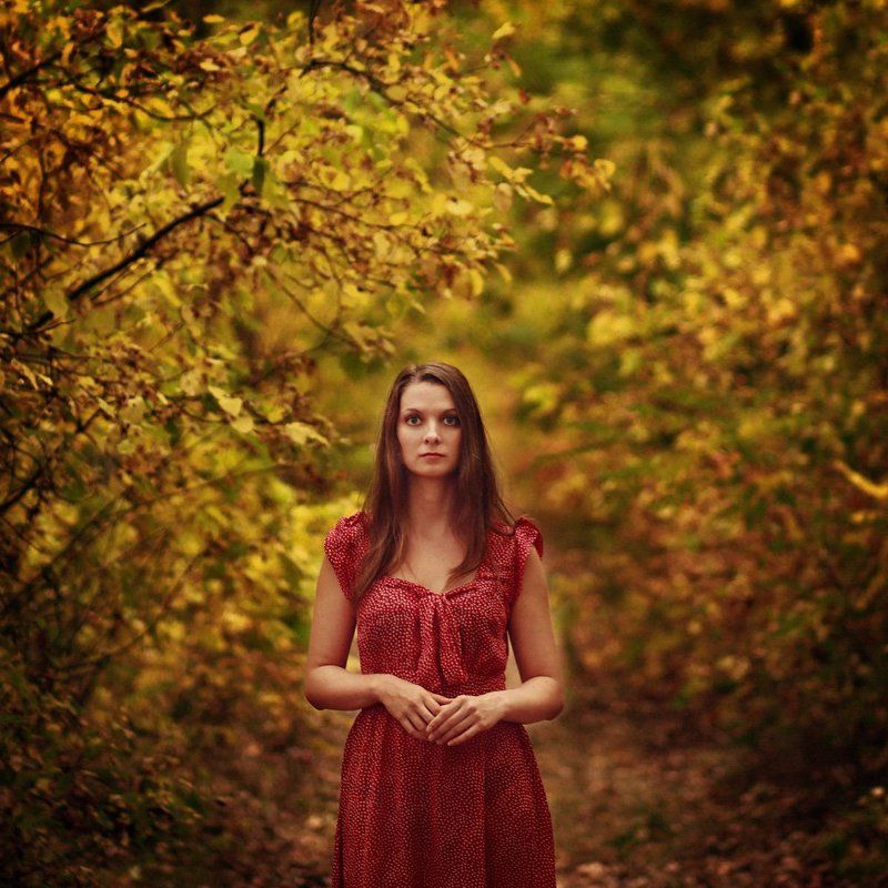 The Wood фото превью