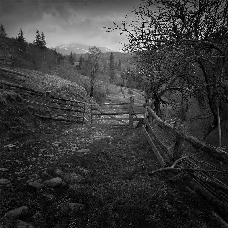 Karpati, spring, 2011. фото превью